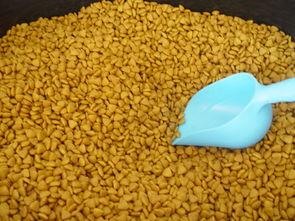 国产良心狗粮视频,守护宠物健康，传递爱心与责任